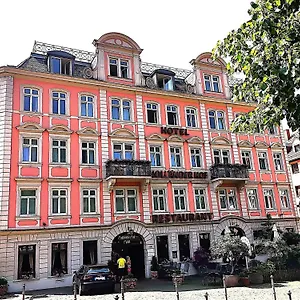 hollander-hof-hotel.hotelsheidelberg.net/